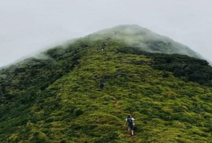 Knuckles Mountain Range