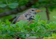 Attractions in Sri Lanka