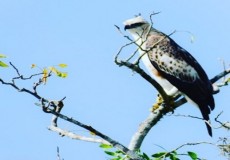 Attractions in Sri Lanka