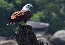 Attractions in Sri Lanka