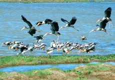 Attractions in Sri Lanka