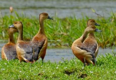 Attractions in Sri Lanka