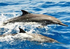 Attractions in Sri Lanka