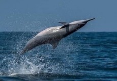 Attractions in Sri Lanka