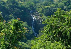 Attractions in Sri Lanka