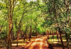 Attractions in Sri Lanka