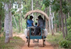 Attractions in Sri Lanka