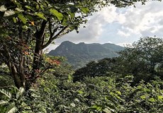 Attractions in Sri Lanka