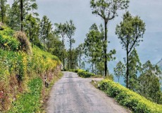 Attractions in Sri Lanka