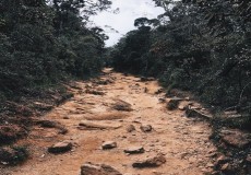 Attractions in Sri Lanka