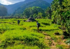 Attractions in Sri Lanka