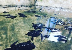 Attractions in Sri Lanka