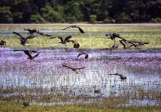 Attractions in Sri Lanka