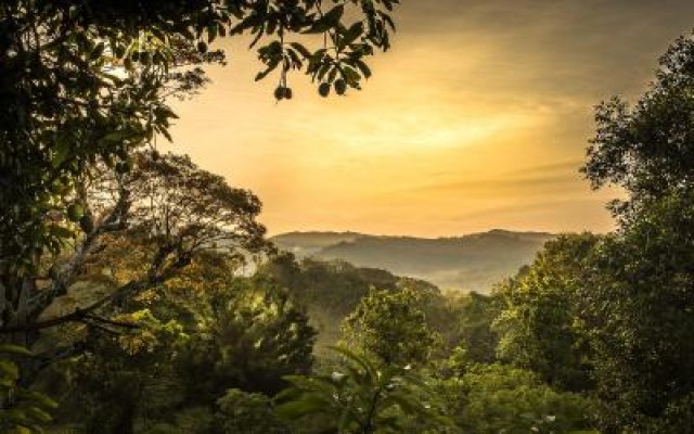 Accommodation in SRI LANKA