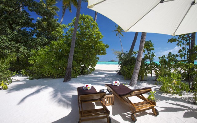 Accommodation in MALDIVES