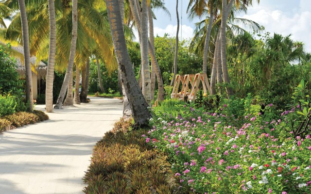 Accommodation in MALDIVES