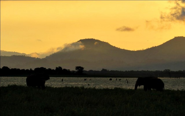 Accommodation in SRI LANKA