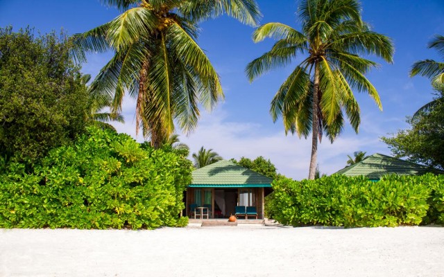 Accommodation in MALDIVES