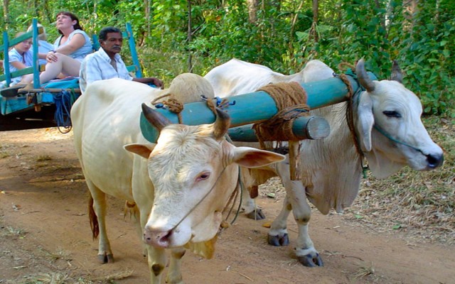 Accommodation in SRI LANKA