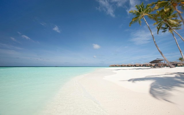 Accommodation in MALDIVES
