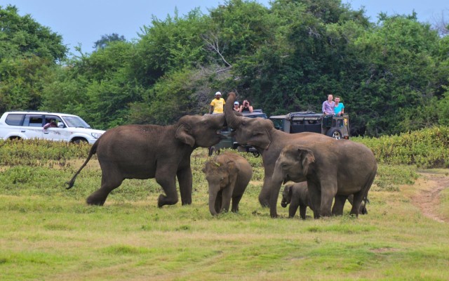 Accommodation in SRI LANKA