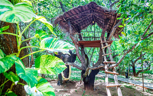 Accommodation in SRI LANKA