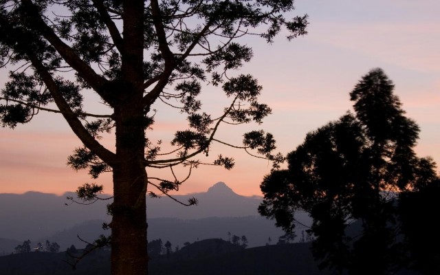 Accommodation in SRI LANKA