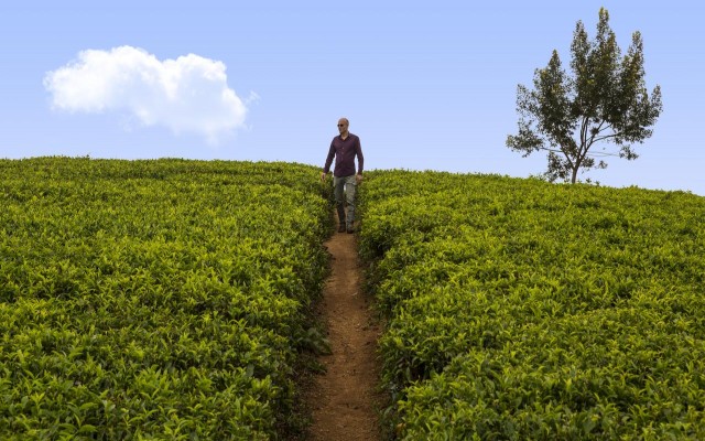 Accommodation in SRI LANKA