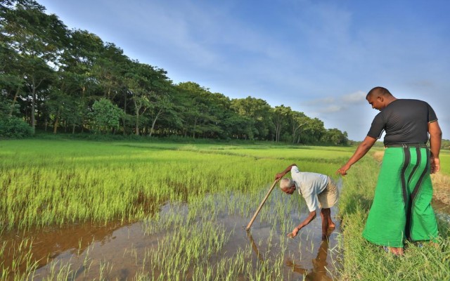 Accommodation in SRI LANKA