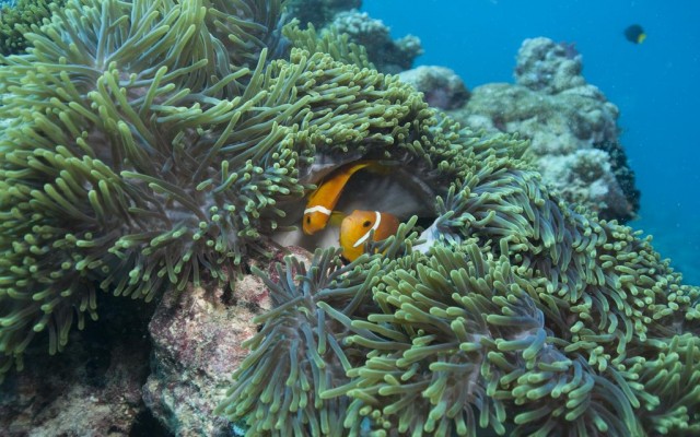 Accommodation in SRI LANKA