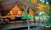 WILD TRAILS YALA