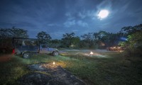 WILD TRAILS YALA