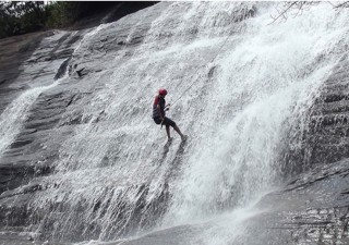 Holidays to SRI LANKA