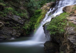 Holidays to SRI LANKA