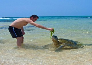 Holidays to SRI LANKA