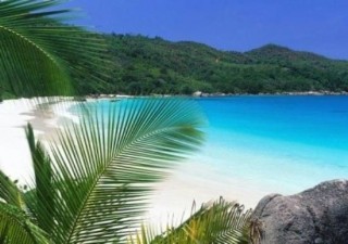 Holidays to SRI LANKA