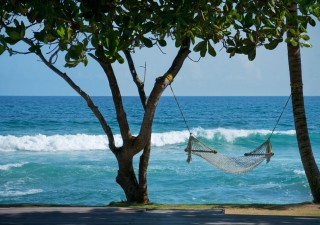 Holidays to SRI LANKA