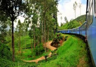 Holidays to SRI LANKA