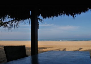 Holidays to SRI LANKA