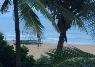 Holidays to SRI LANKA