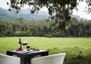 Holidays to SRI LANKA