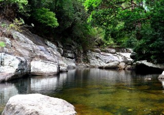 Holidays to SRI LANKA