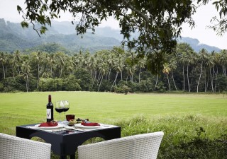 Holidays to SRI LANKA