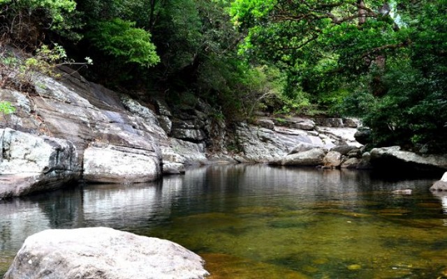 Holidays to SRI LANKA