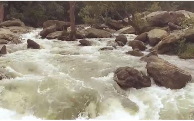 Holidays to SRI LANKA