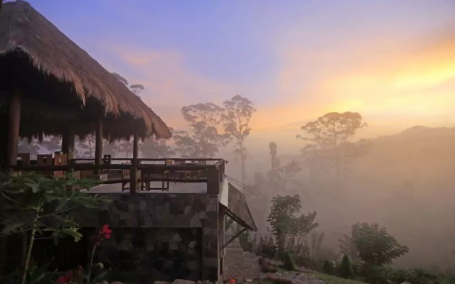 Holidays to SRI LANKA