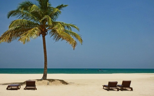 Holidays to SRI LANKA