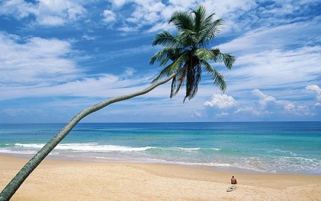 Holidays to SRI LANKA