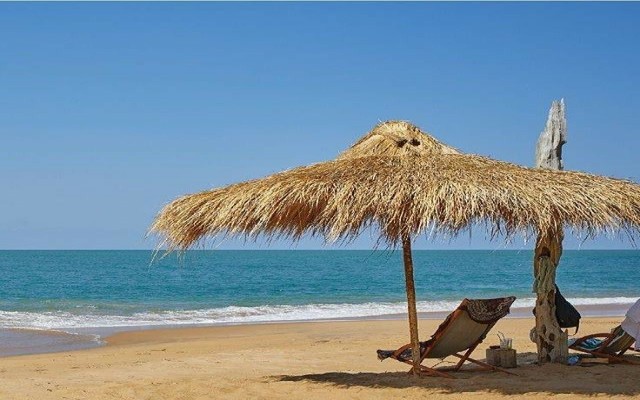 Holidays to SRI LANKA