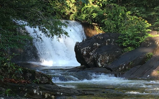 Holidays to SRI LANKA